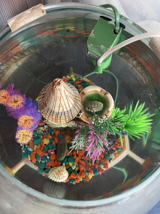 Продам Аквариум 20л