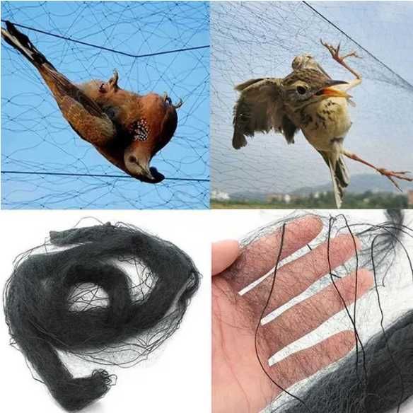 Plasa verticala anti pasari 3m x 15m