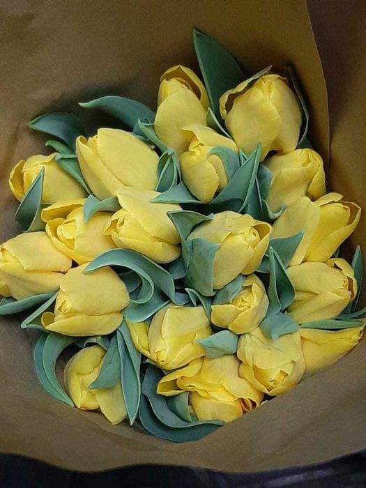 Тюльпаны оптом и в розницу к 8 марту