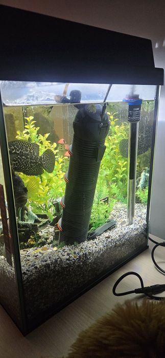 Vand acvariu complet