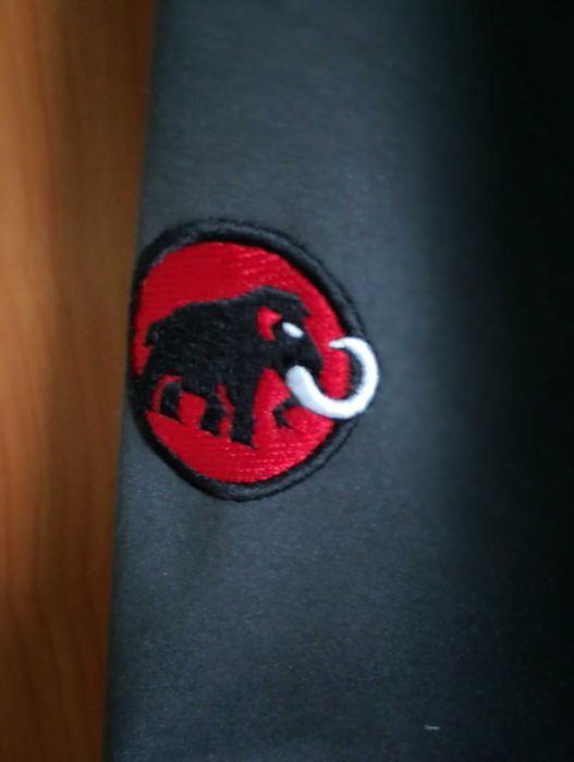Мъжко яке Mammut windstopper