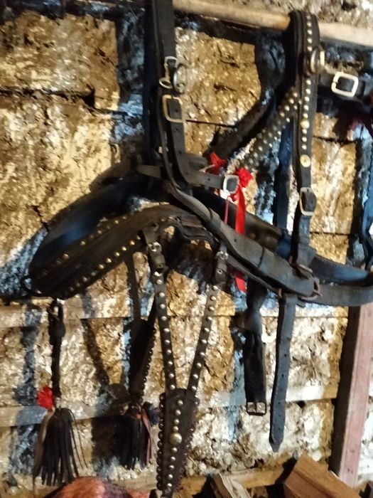 Căruță. Ham de București