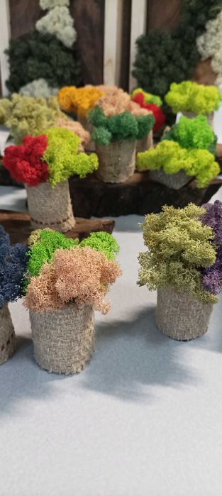 Скандинавски мъх,декорации