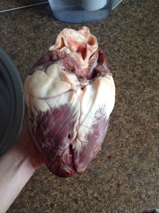 Говяжье сердце бычье