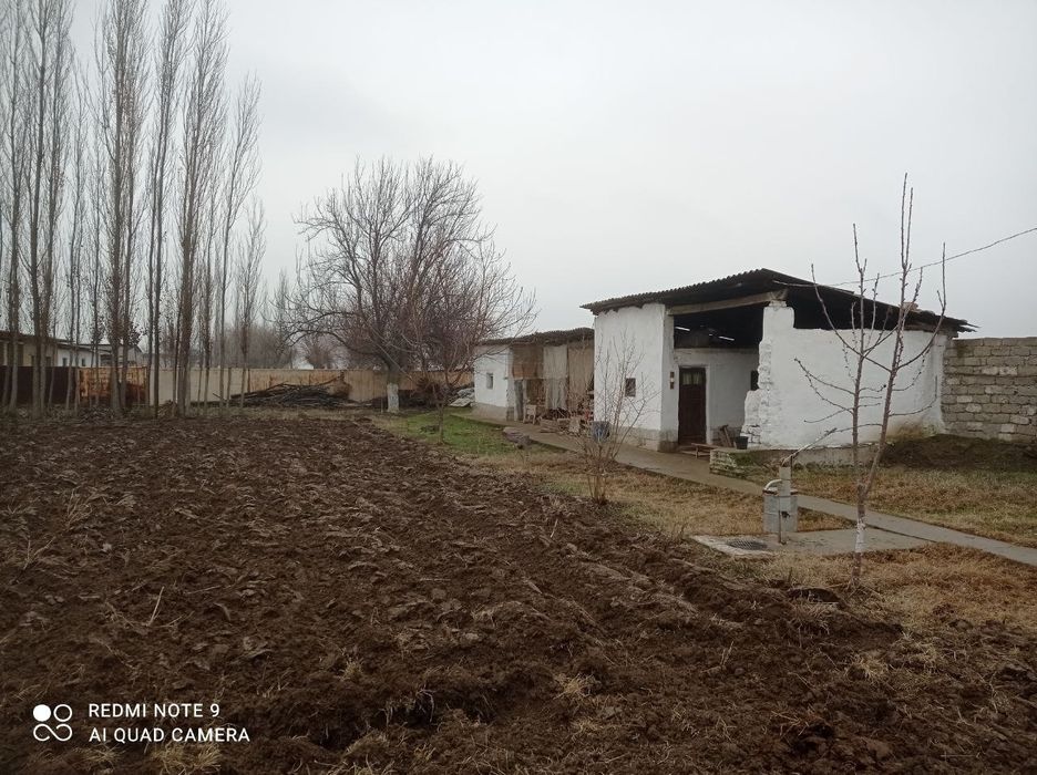 Hovli 17 sotix Qorasuv