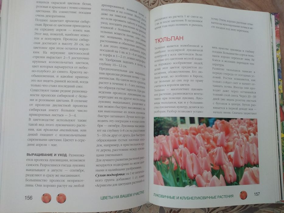 Все о цветах и растениях.Книга