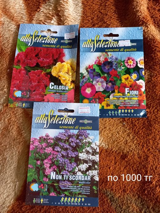 Продам цветочки разные