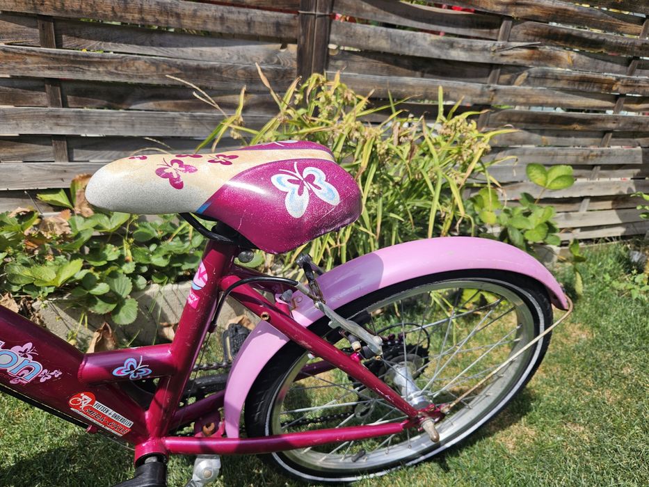 Bicicleta Papilon 20"