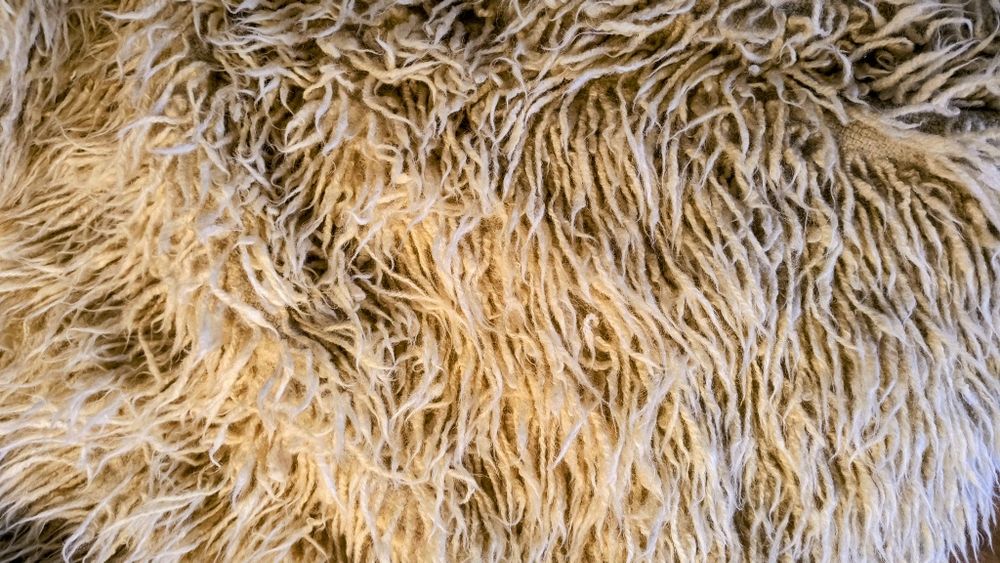 Вълнен Китеник / Покривало за Диван / Губер / Килим / Вълнена Постелка