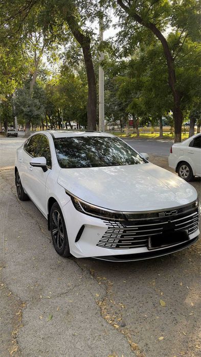 BYD CHAZOR Full 4 Flagship 120km yuradigani