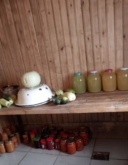 Продам дом в с.Бесколь