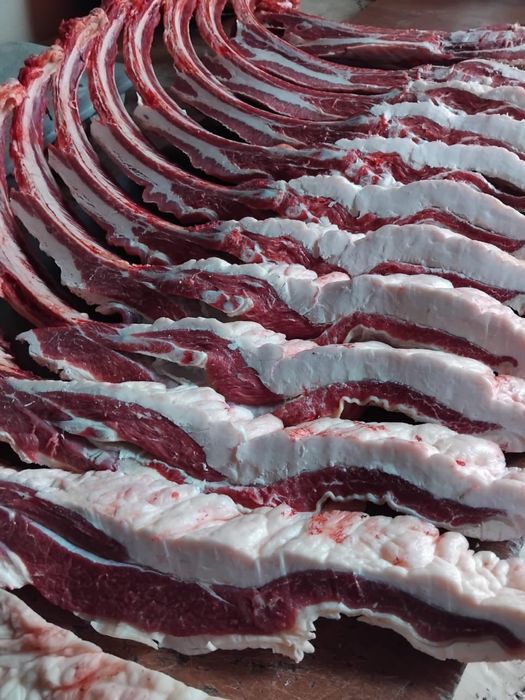 Продам мясо конина