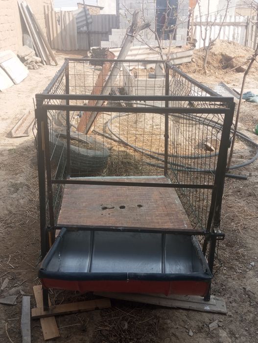 Qoʻy katak sotiladi