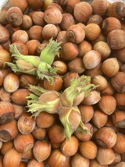 Dud alb/ negru. Mosmon zmeura mur afini diverse soiuri