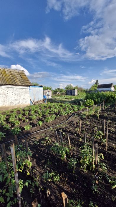 Продам дачу на Чапаево