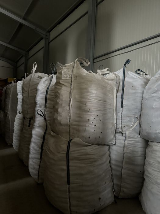 Sfecla rosie ridichie