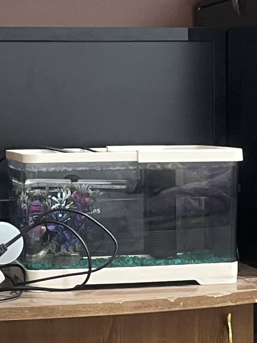 Продам аквариум 7л
