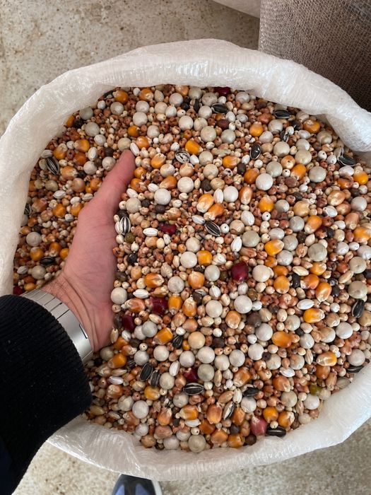 Cereale, seminte,furaje,porumbei,uruiala,sorg,grau,srot,mazare,orz,orzoaica,faina,floarea soarelui,mei,amestec porumbei ,mancare poumbei ,orez,soia,in