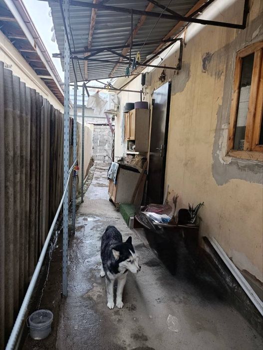 Продаётся Байсунская участок 0.5 соток 51.500у.е