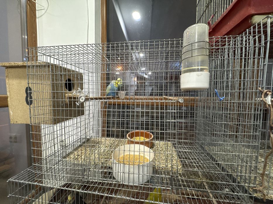 Продавам 5 бр клетки за птици