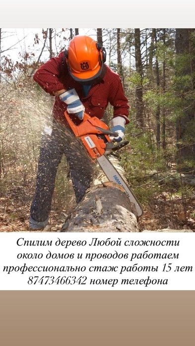 Спилим дерево любой сложности