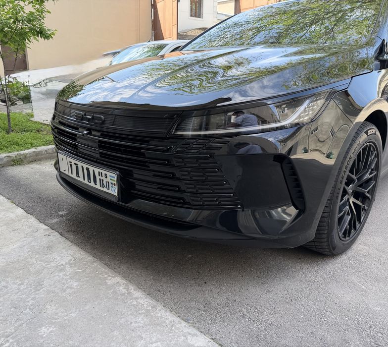 Byd chazor 120 tali
