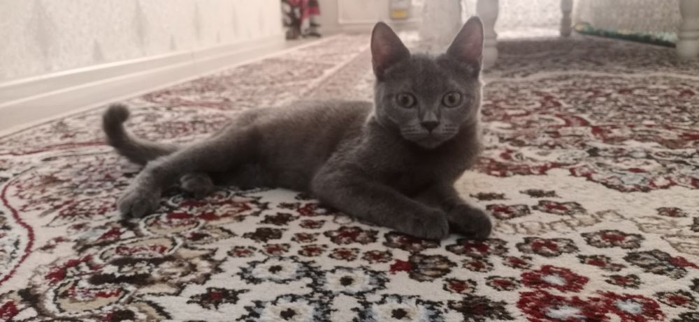 Eng keksa porno ayollar