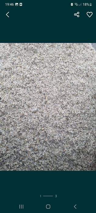 Borhot de sfecla zahar (tăiței)