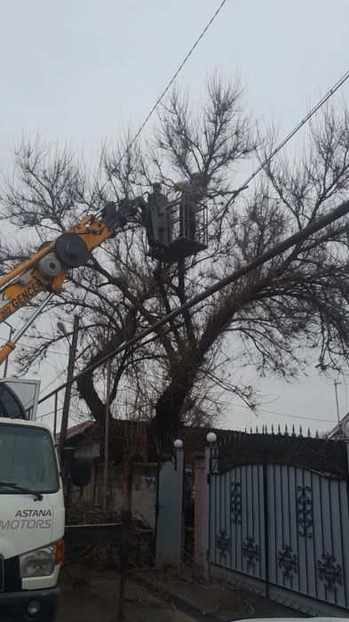 Спил деревьев агаш кесемиз