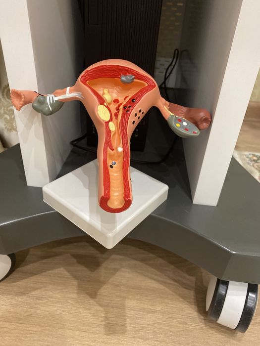 Продам кольпоскоп, в иделаьном состояний