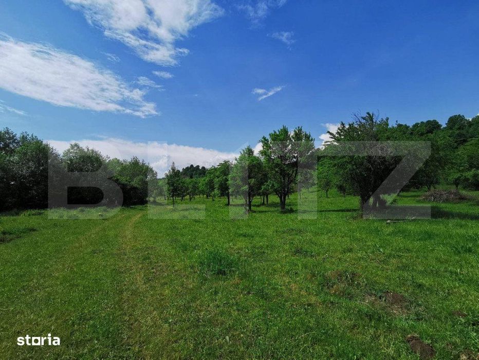 Teren, aproximativ 1 ha, in apropiere de Bistrita
