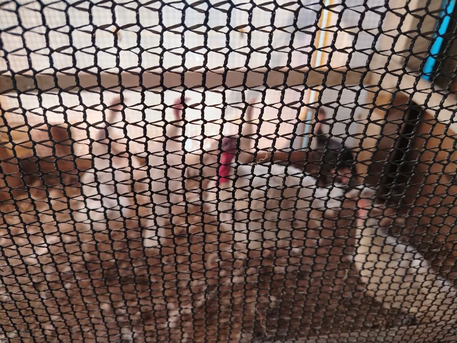 Ундук сатылады..