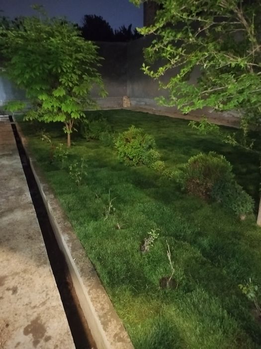 Gazon ekamiz Urug' Sepamiz Landshaft Va Dizayn Ishlarini Qilamiz