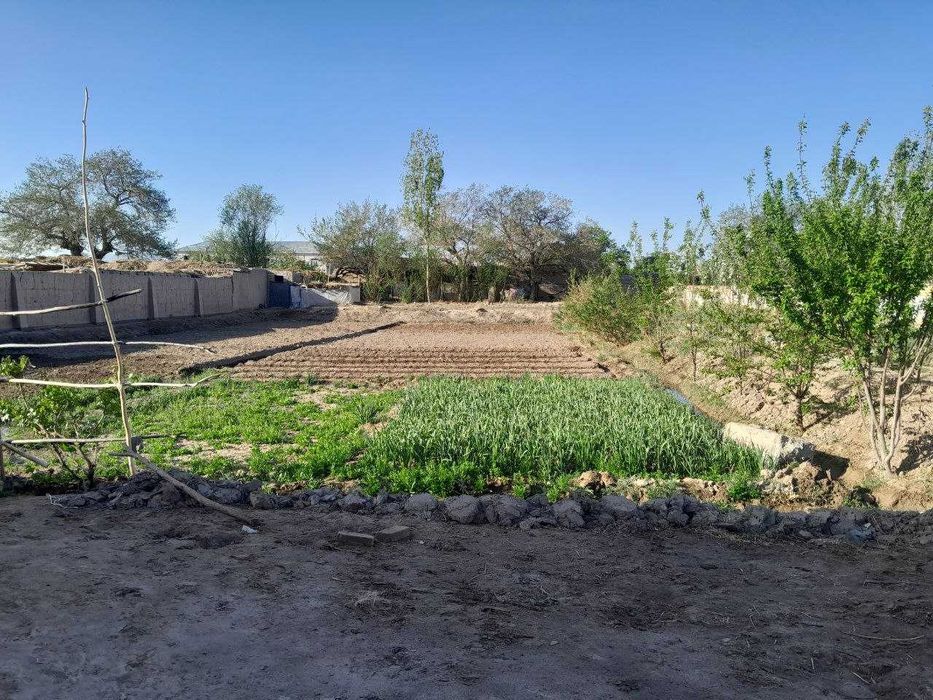 Урганч тумани Коромон КФЙ, Каттабог МФЙ, 15 сотихли уй сотилади