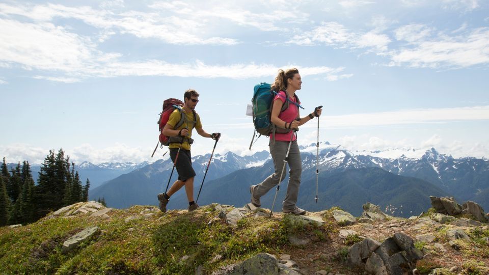 Exponent надежные трекинговые палочки на клипсах (внешний зажим). 
Р