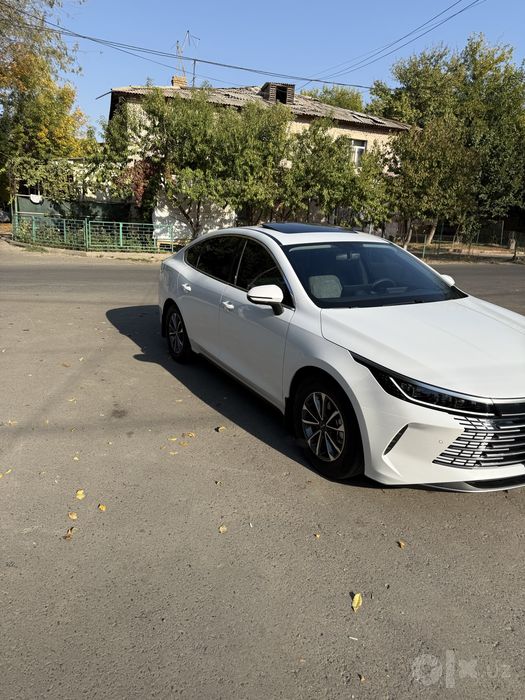 Byd Chazor 55Tali