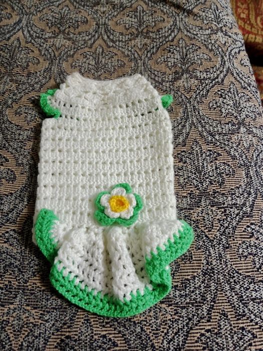 Одежда для собак мелких пород.