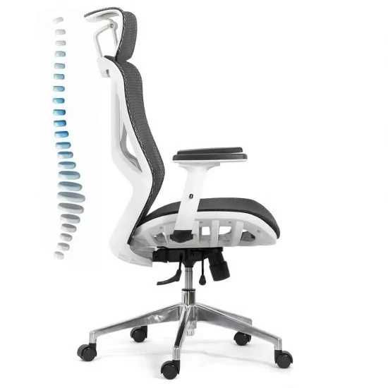 Scaun Birou Ergonomic DS9503 Multiblock Reglaj lombar LIVRARE GRATUITA