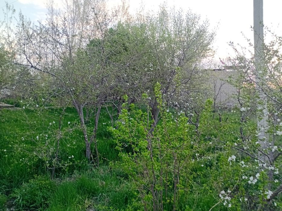 Yer uchastkasi sotiladi