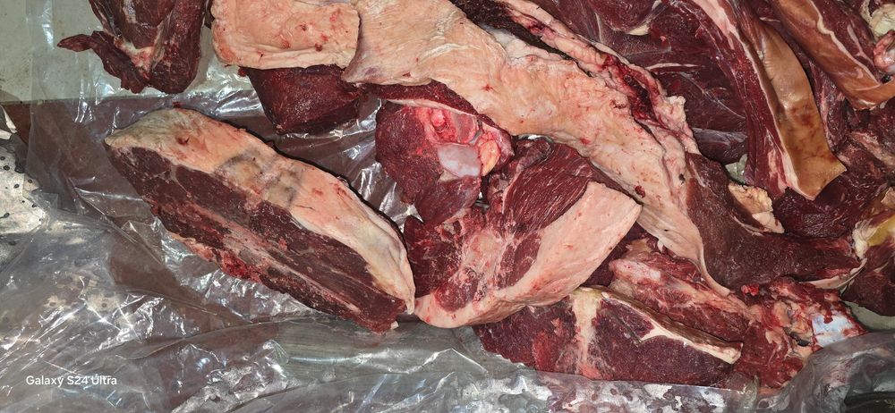 СОҒЫМ  тай еті қазысы бір елі