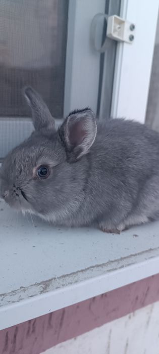 Көжектер 1ай болған