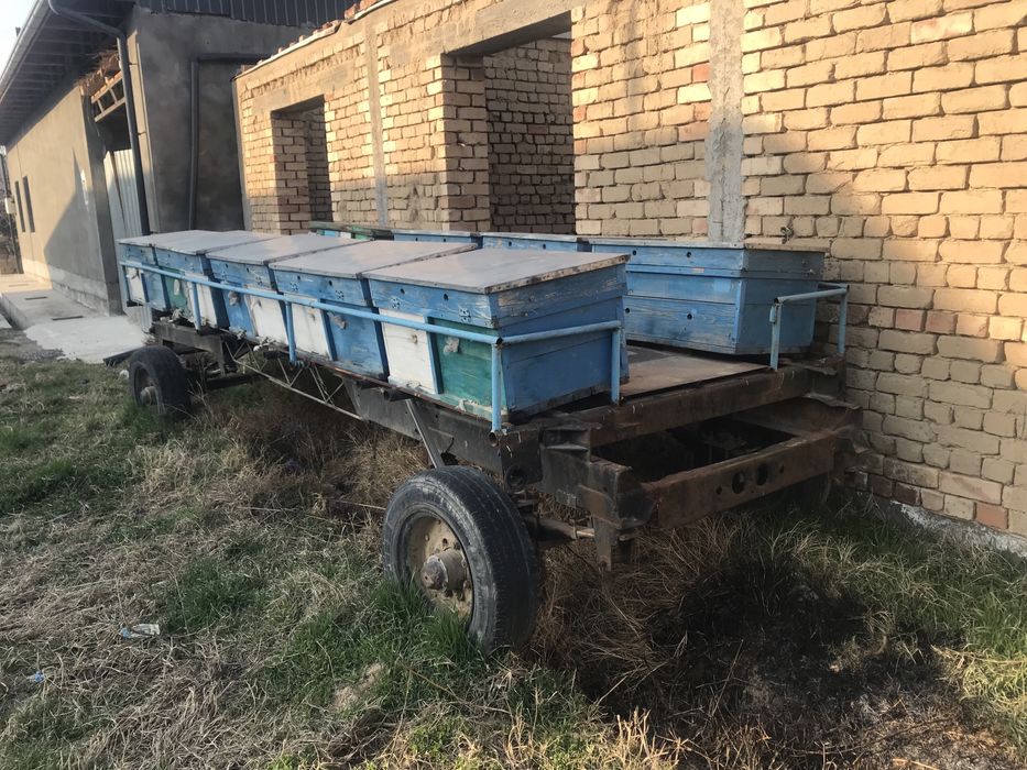 Асал ари прицеп яшиклари билан сотилади……...