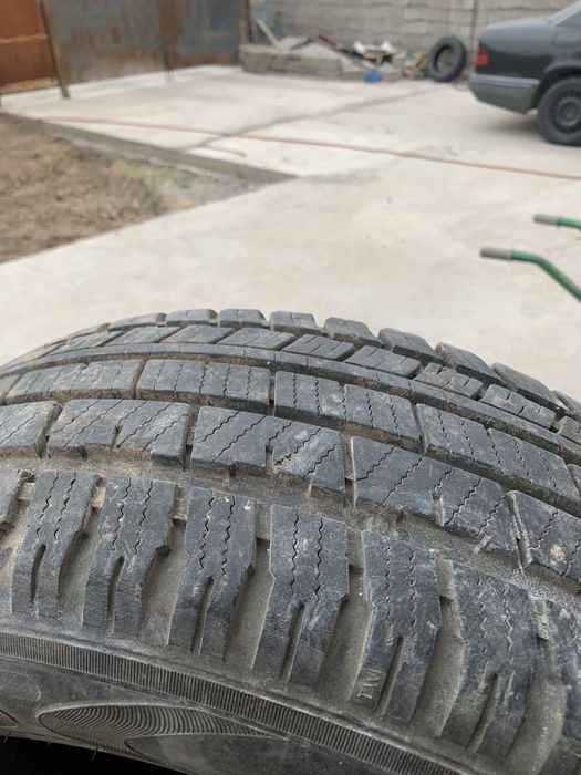 Автошины