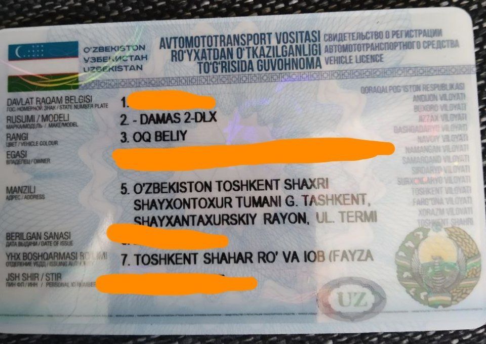 Damas 2022 yil xolati yaxwi gazi bor