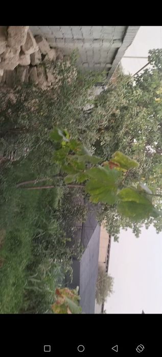 Uchastka sirochni sotiladi