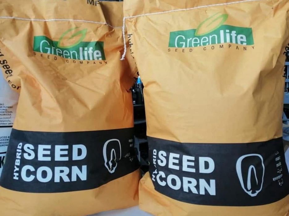 GOLIATH - Campion in Europa la porumb siloz