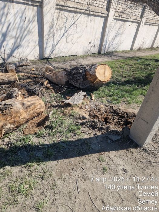 Спил и обрезка деревьев 24/7