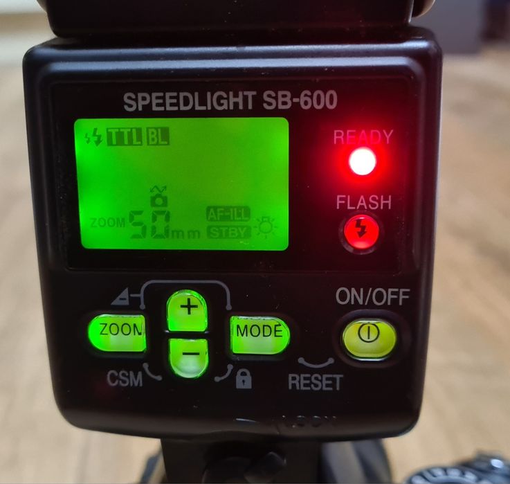 DSLR Nikon D3100 + blitz SB-600 + 2 obiective