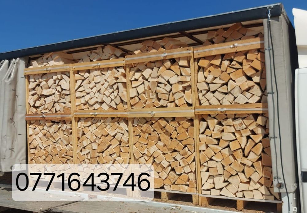 Lemne de foc fag tăiate si sparte