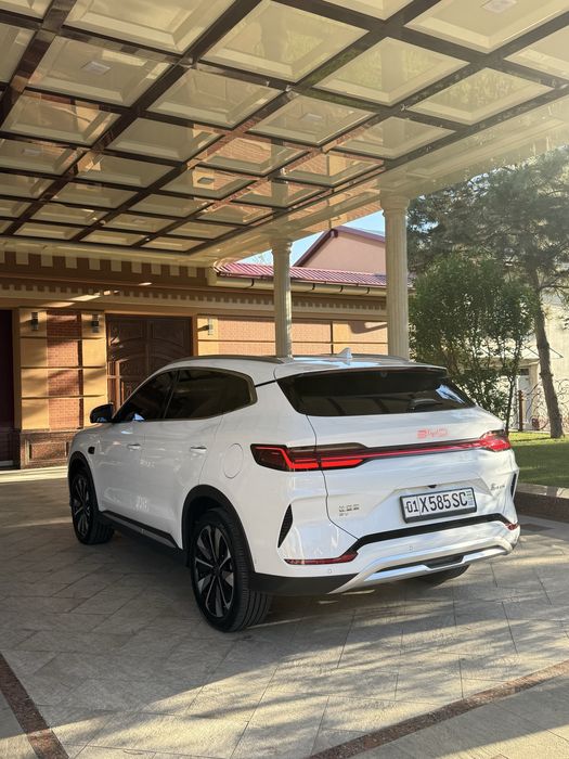 Byd chempion smart 605